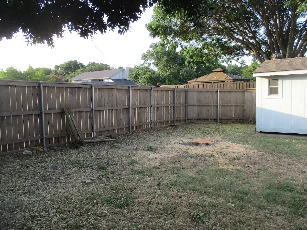Cleared yard after professional tree removal in Weatherford